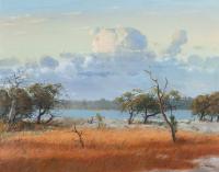 Lot 6. PHILLIP COOK STORMY DAY GNANGARA