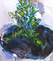 Lot 114. MAC BETTS NEW PLANT