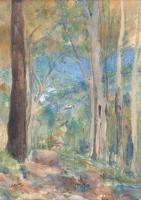 Lot 128. GEORGE PITT MORISON KARRI FOREST SOUTH WEST WA