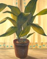 Lot 57. ERNEST SIDNEY PHILPOT ASPIDISTRA