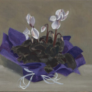BARBARA CHAPMAN - AFRICAN VIOLET