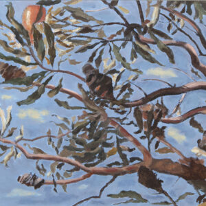 BARBARA CHAPMAN - BANKSIA BRANCHES - SOLD